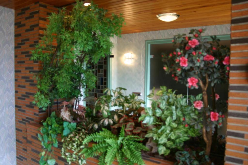 Champagne Gilmaire-Etienne Bed & Breakfast Binson-et-Orquigny Eksteriør bilde